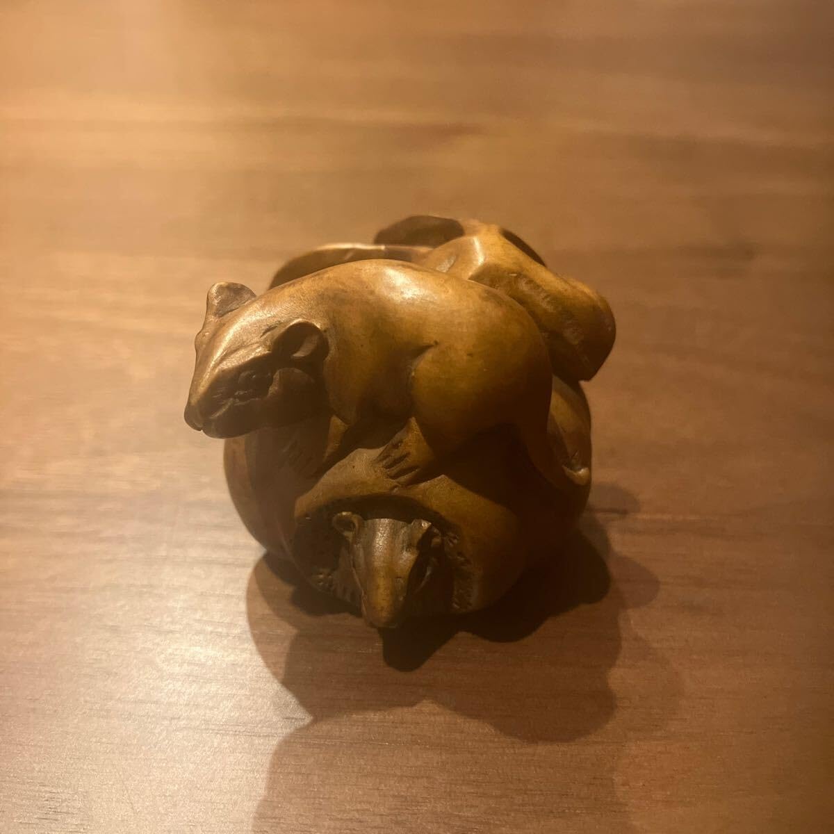 世界鳥類大図鑑BIRD廃盤 世界鳥類大図鑑(バードライフ